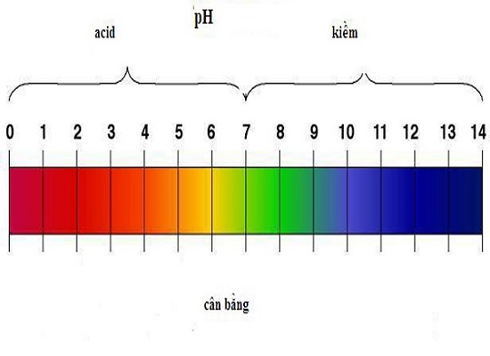 Bảng đo độ pH trong dung dịch