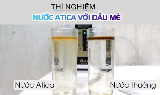 Lợi ích nước Atica trong việc điều trị bệnh mỡ máu
