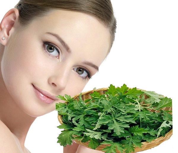 Ngải cứu làm đẹp da