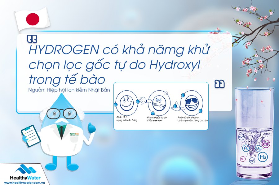 Hydrogen(H2) có khả năng khử chọn lọc gốc tự do Hydroxyl trong tế bào